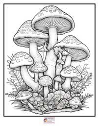 Mushrooms Coloring Pages 3B