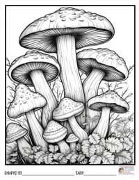 Mushrooms Coloring Pages 4 - Colored By