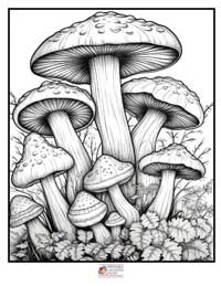 Mushrooms Coloring Pages 4B