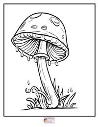 Mushrooms Coloring Pages 9B