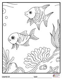 Ocean Coloring Pages 8 - Colored By