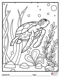 Ocean Coloring Pages 9 - Colored By