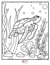 Ocean Coloring Pages 9B