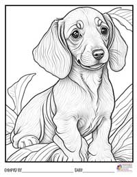 Puppy Coloring Pages 16 - Colored By