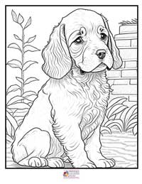 Puppy Coloring Pages 1B