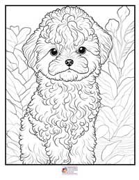 Puppy Coloring Pages 2B