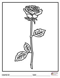 Rose Coloring Pages 11 - Colored By