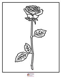 Rose Coloring Pages 11B