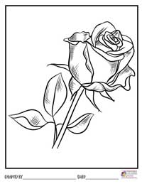 Rose Coloring Pages 13 - Colored By