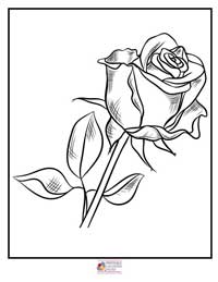Rose Coloring Pages 13B