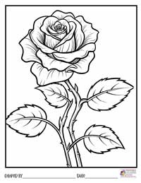 Rose Coloring Pages 16 - Colored By
