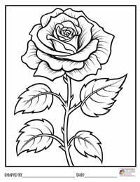 Rose Coloring Pages 17 - Colored By