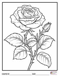 Rose Coloring Pages 18 - Colored By
