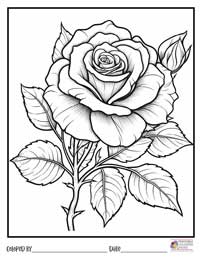 Rose Coloring Pages 19 - Colored By