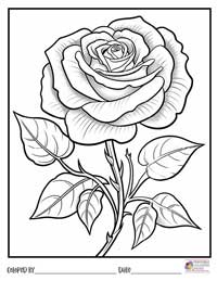 Rose Coloring Pages 20 - Colored By