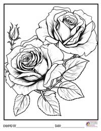 Rose Coloring Pages 3 - Colored By