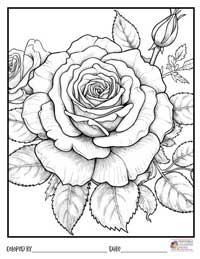 Rose Coloring Pages 4 - Colored By