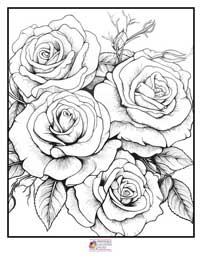 Rose Coloring Pages 5B