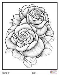 Rose Coloring Pages 8 - Colored By