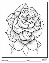 Rose Coloring Pages 9 - Colored By