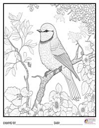 Spring Coloring Pages 6 - Colored By
