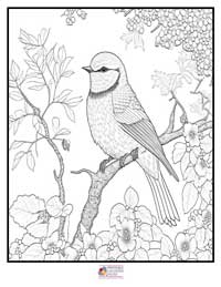Spring Coloring Pages 6B