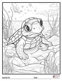 Turtle Coloring Pages 10 - Colored By