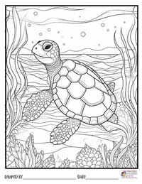Turtle Coloring Pages 11 - Colored By