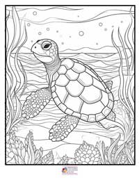 Turtle Coloring Pages 11B