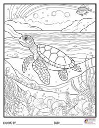 Turtle Coloring Pages 13 - Colored By