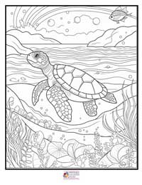 Turtle Coloring Pages 13B