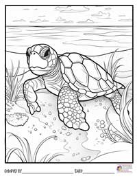 Turtle Coloring Pages 14 - Colored By