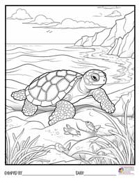 Turtle Coloring Pages 15 - Colored By