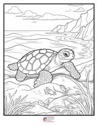 Turtle Coloring Pages 15B