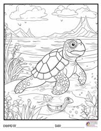 Turtle Coloring Pages 19 - Colored By