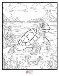 Turtle Coloring Pages 19B