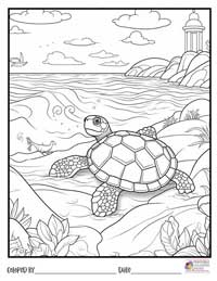 Turtle Coloring Pages 20 - Colored By
