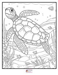 Turtle Coloring Pages 6B