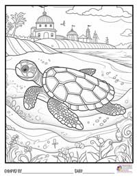 Turtle Coloring Pages 7 - Colored By