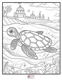 Turtle Coloring Pages 7B