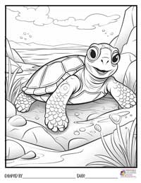Turtle Coloring Pages 8 - Colored By