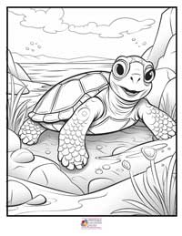 Turtle Coloring Pages 8B