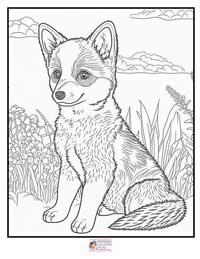 Wolves Coloring Pages 3B
