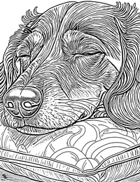 Dachshund Coloring Page 11 - Full Page