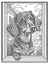 Dachshund Coloring Page 12 With Border
