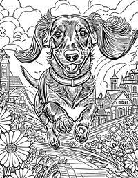 Dachshund Coloring Page 2 - Full Page