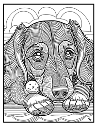 Dachshund Coloring Page 4 With Border