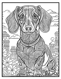 Dachshund Coloring Page 7 With Border