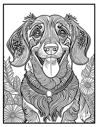 Dachshund Coloring Page 9 With Border