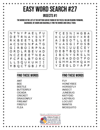 Easy Word Search Printable #27